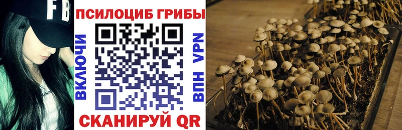 что такое наркотик  Великий Устюг  Псилоцибиновые грибы Magic Shrooms 