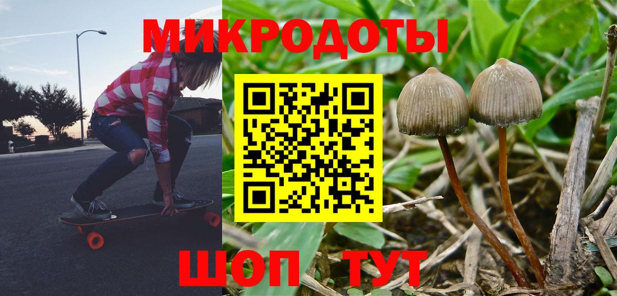 Галлюциногенные грибы MAGIC MUSHROOMS Великий Устюг